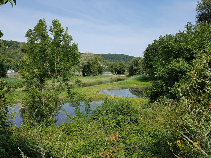 Les Petits Saules à Sahurs