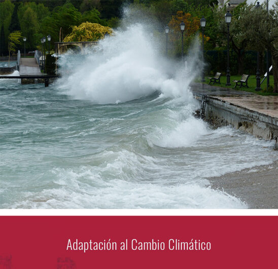 La actualidad internacional Ciudad Puerto
