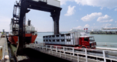 Transport maritime de bétail : entre souffrances animales et nuisances pour les riverains