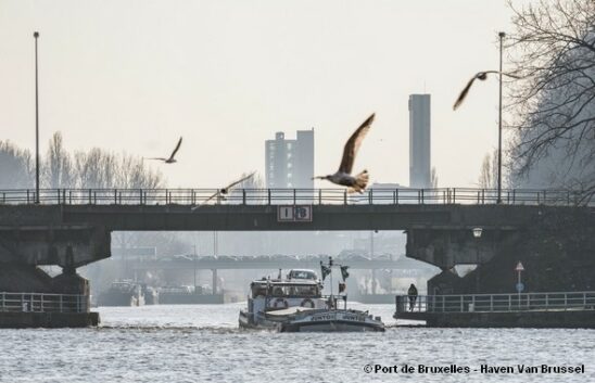 L'actualité Ville Port internationale