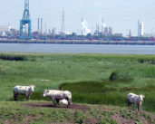 Port d’Anvers : innover ! un même mot d’ordre pour une alimentation ou une agriculture de qualité