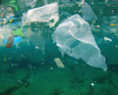 Tackling the challenge of plastic waste in the ocean