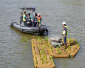 Junto con la Región de Bruselas-Capital, el Puerto de Bruselas (Bélgica) protege la biodiversidad