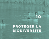 Le Livre blanc sur la protection de la biodiversité est en ligne !