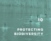 The White Paper on biodiversity protection is online!