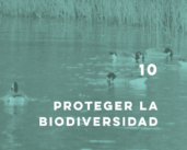 El Libro Blanco sobre la protección de la biodiversidad está en línea