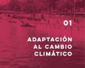 El 5 de junio, celebremos el Día Mundial del Medio Ambiente