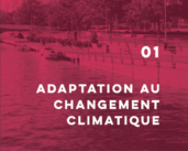 Le 5 juin, célébrons la Journée mondiale de l’environnement