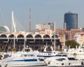 The Provincial Council of Valencia (Spain) joins forces with the port to mitigate the seasonal nature of cruise tourism