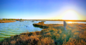 San Antonio (Chile): a city-port-citizens conciliation plan to protect the lagoons
