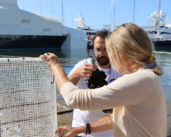 L’Autorité portuaire des îles Baléares entend préserver la propreté de ses eaux