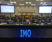 The IMO supports new ocean treaty to protect biodiversity