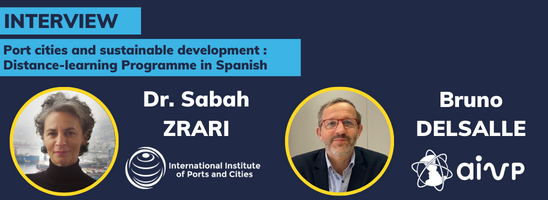 Port City Insights: This weekly strategic monitoring service on City Port news is reserved for you as a member of the AIVP