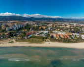 Nueva Guía de Avifauna del Puerto de Algeciras