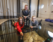 The Port of Dublin valorizing its archeological findings