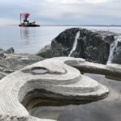 New York collaborates with ECOncrete to earn the Obel Award