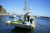 Regional monitoring post Fukushima’s wastewater release