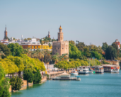 Cuestionario sobre el grupo de trabajo Ciudades portuarias fluviales