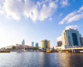 AIVP continues to expand its presence in Florida
