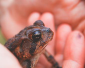 Retrouver la biodiversité le long de la Seine à Rouen