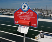 France: new initiatives to keep port dock basins clean