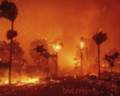 Los incendios forestales devastan el sur de California