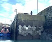 Innovative Solutions for Enhancing Marine Biodiversity in Ports