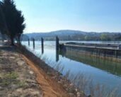 La protección de los humedales: una prioridad para el futuro Port Seine Métropole Ouest