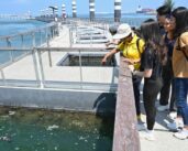 La iniciativa «Go Green SG 2025» de Singapur pone de relieve la sostenibilidad marítima