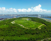 Tokio transforma un descampado en un parque forestal marítimo