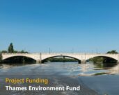 Environmental grant funding open for projects on the Tidal Thames