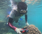 Hambantota International Port’s path to revitalizing its coral reefs