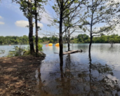 La Vendée propose une planification portuaire intégrée à sa stratégie climatique