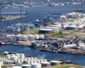 Rotterdam refuerza su compromiso con la calidad de vida y la biodiversidad