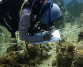 La República Dominicana reproduce arrecifes de coral para la protección costera