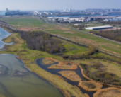 Ports protect the biodiversity with their communities