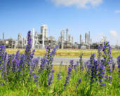 New climate transition plan at the Port of Rotterdam