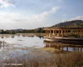 An innovative architectural project for wetland restoration